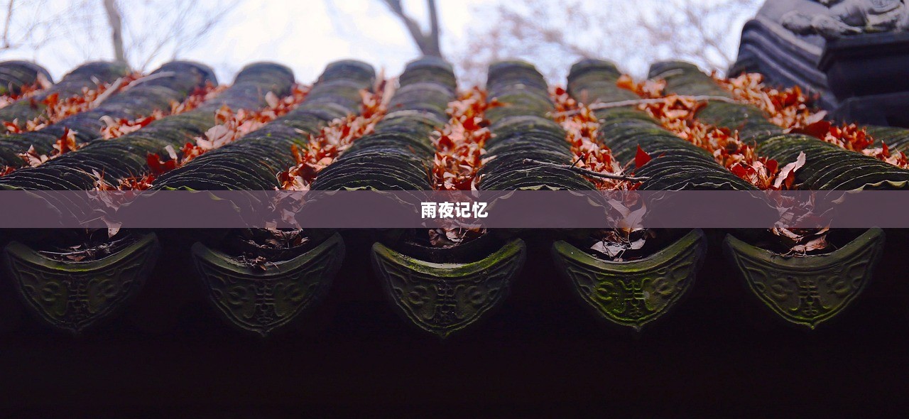 雨夜记忆  第1张