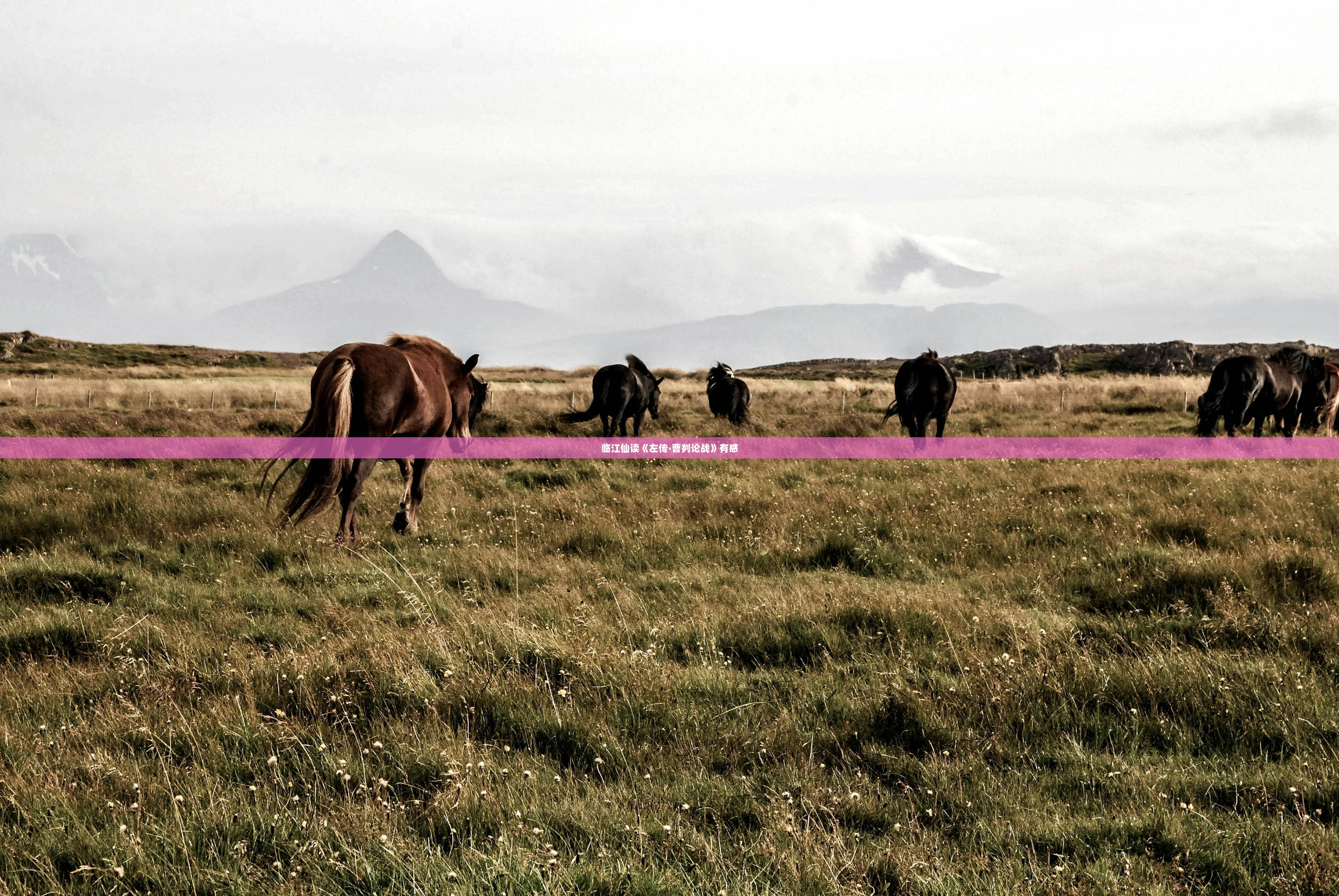 临江仙读《左传·曹刿论战》有感