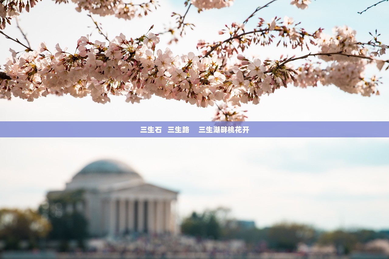 三生石   三生路     三生湖畔桃花开