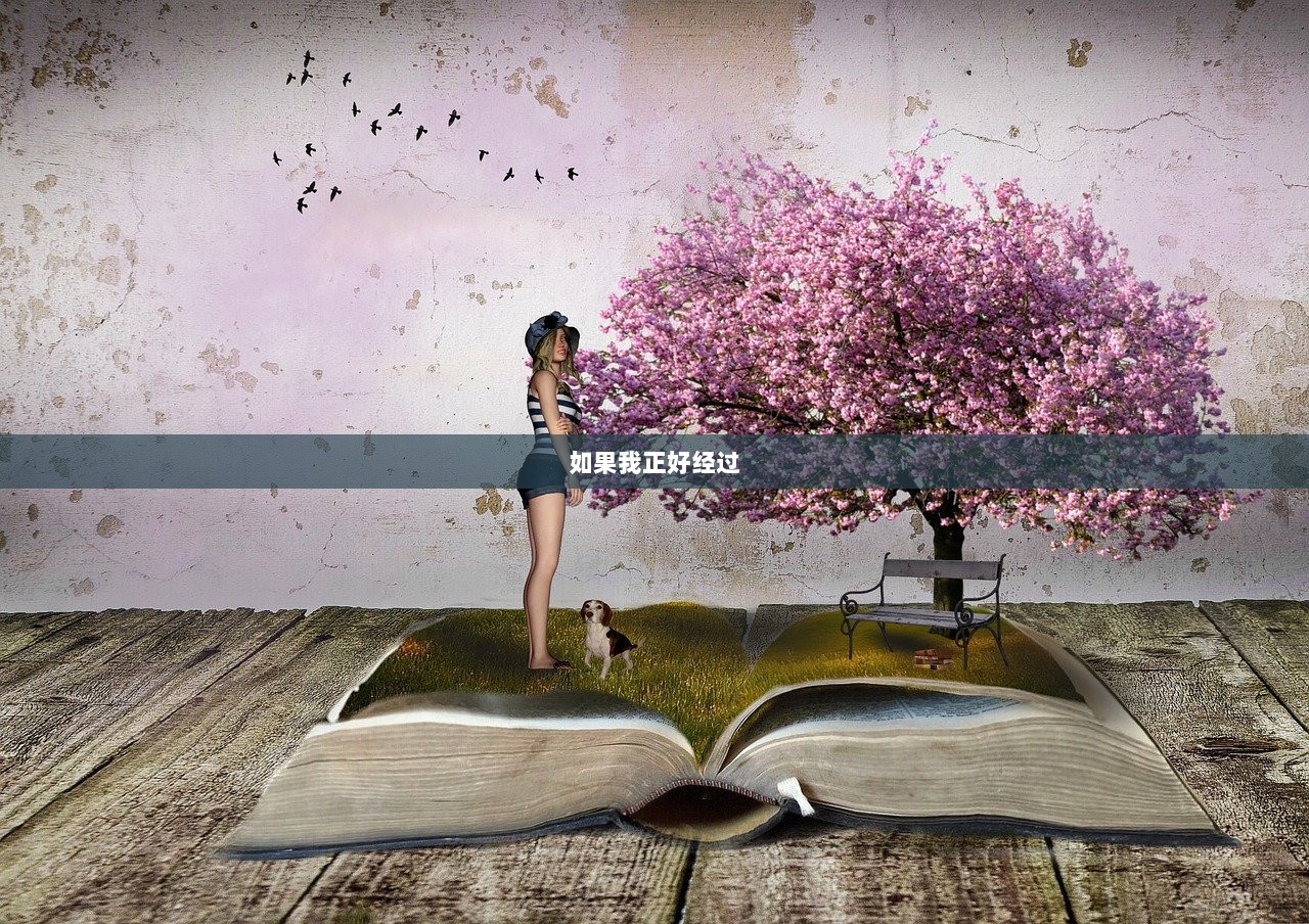 如果我正好经过