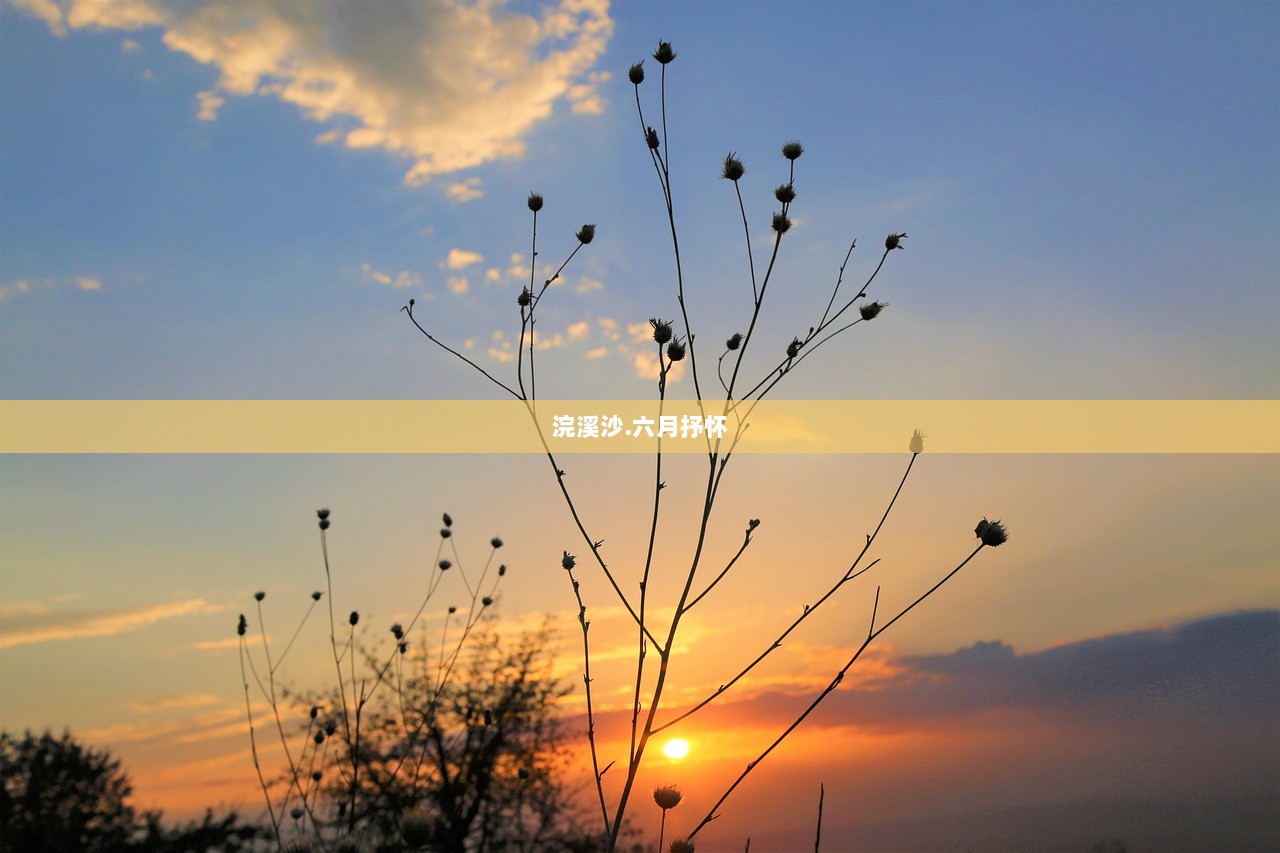 浣溪沙.六月抒怀