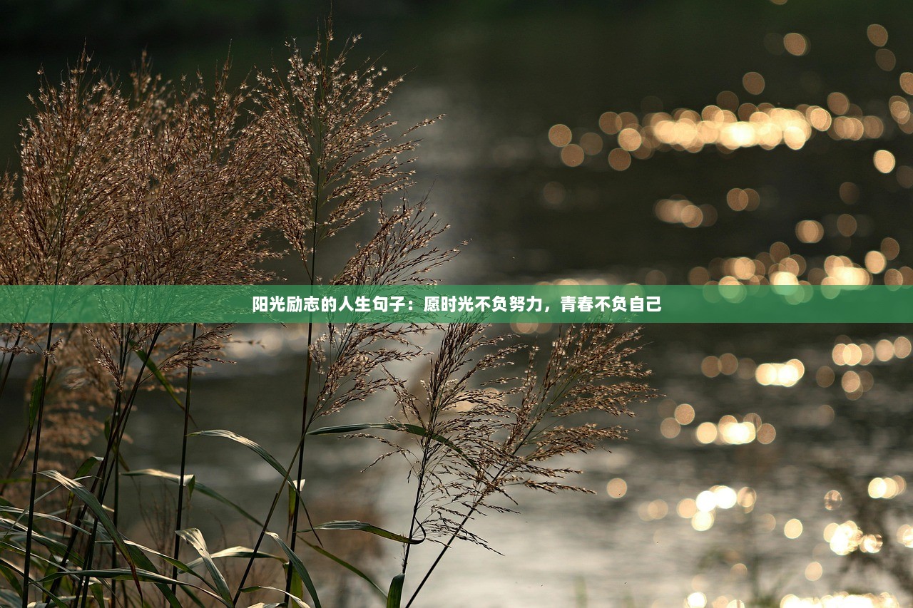 阳光励志的人生句子：愿时光不负努力，青春不负自己