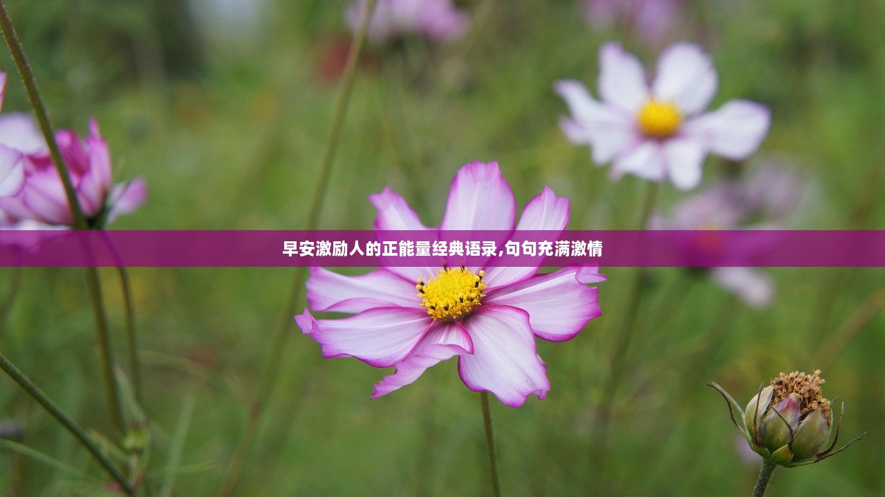 早安激励人的正能量经典语录,句句充满激情