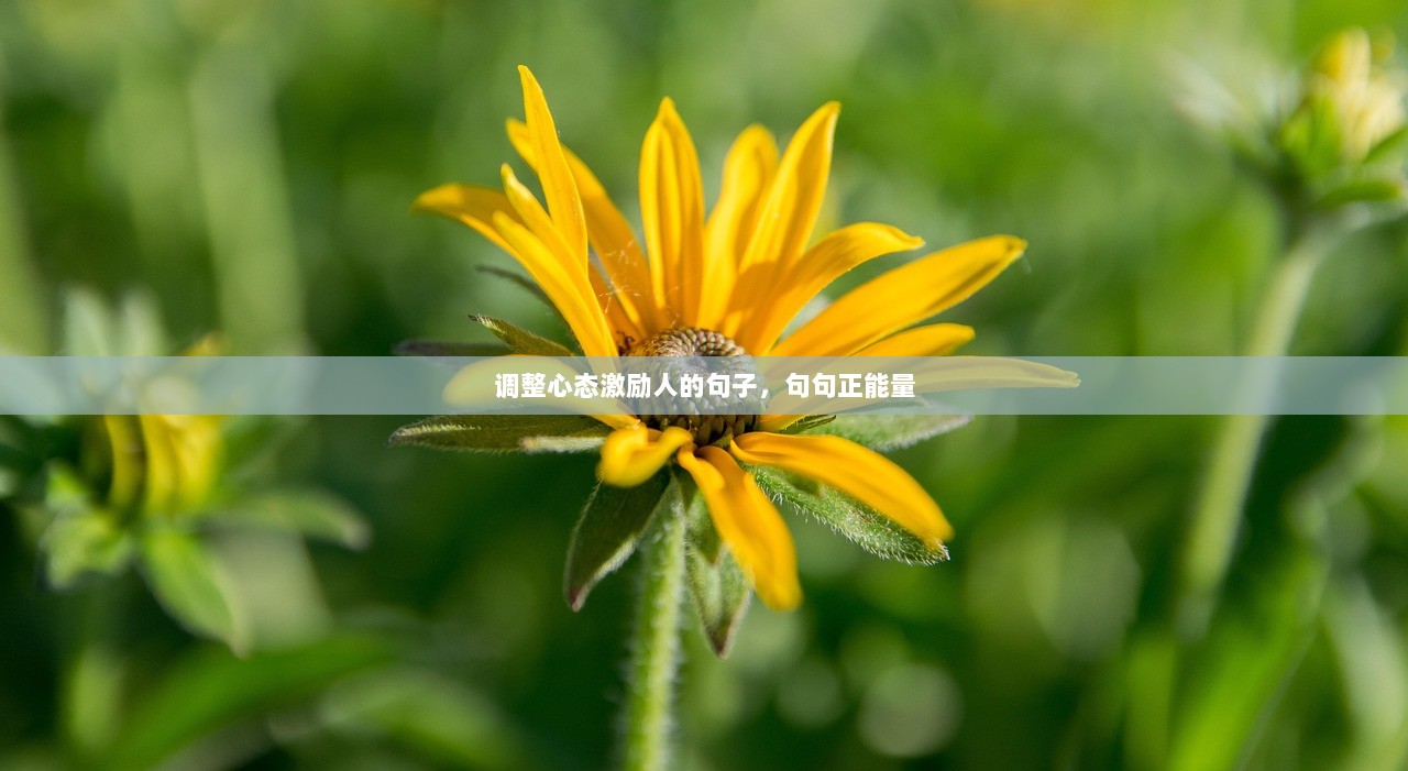 调整心态激励人的句子，句句正能量