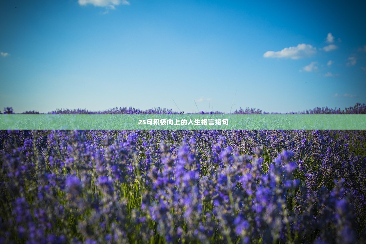 25句积极向上的人生格言短句
