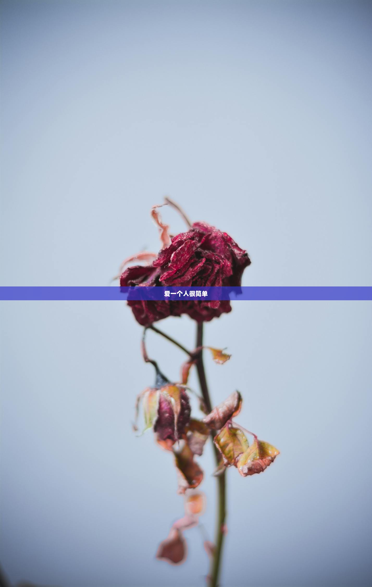 爱一个人很简单