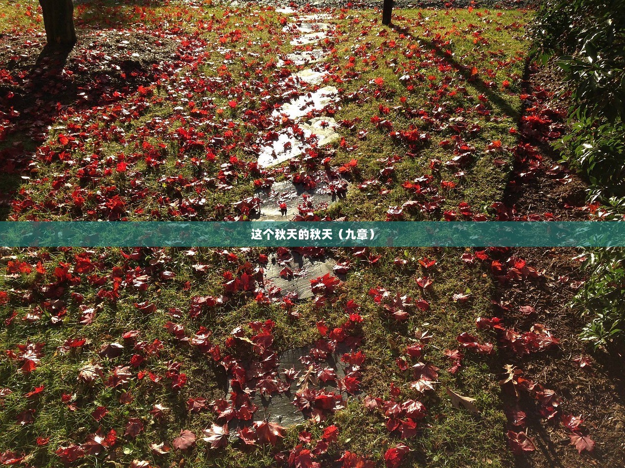 这个秋天的秋天（九章）