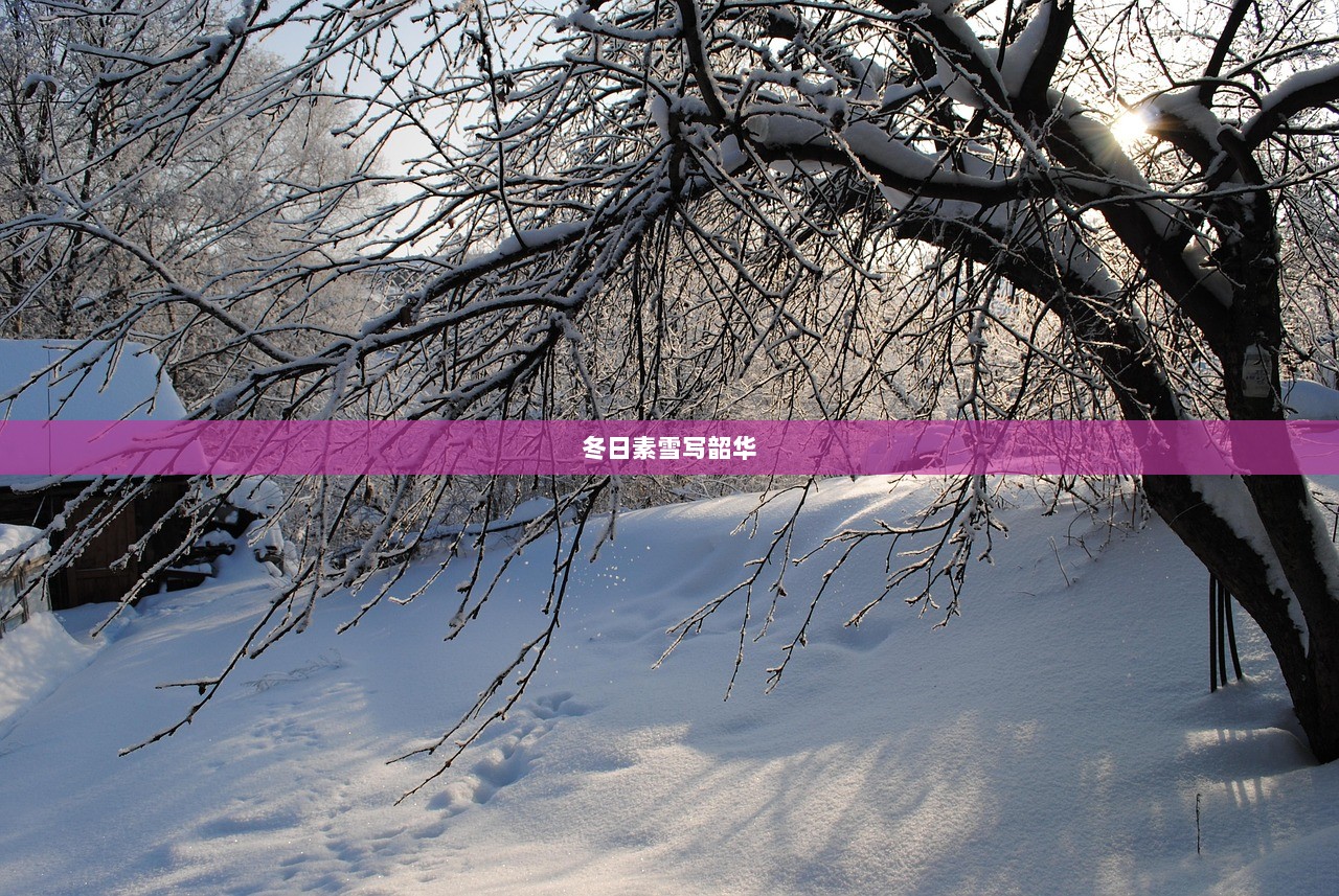 冬日素雪写韶华