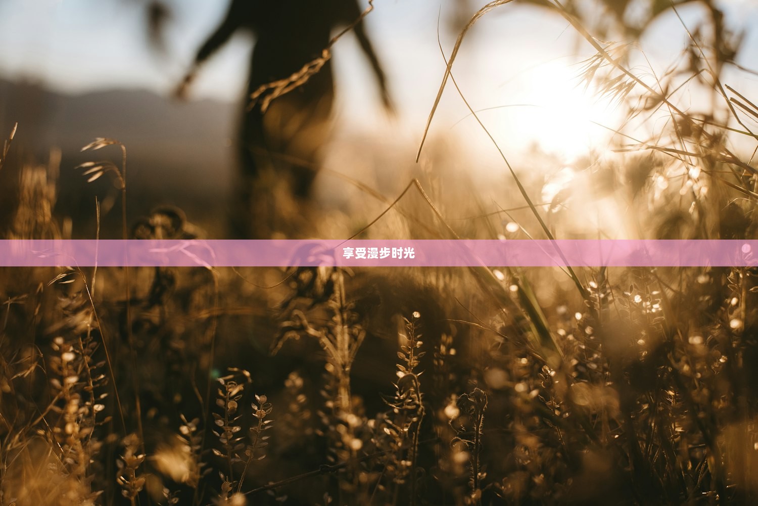 享受漫步时光