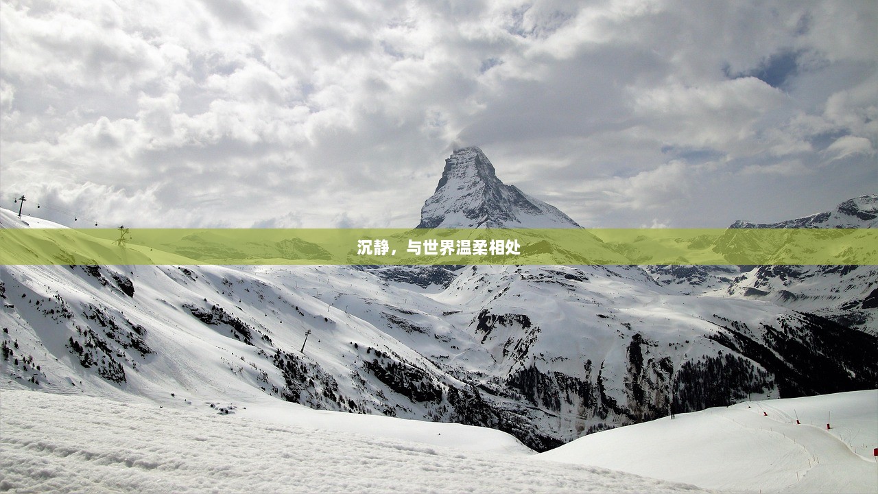 沉静，与世界温柔相处