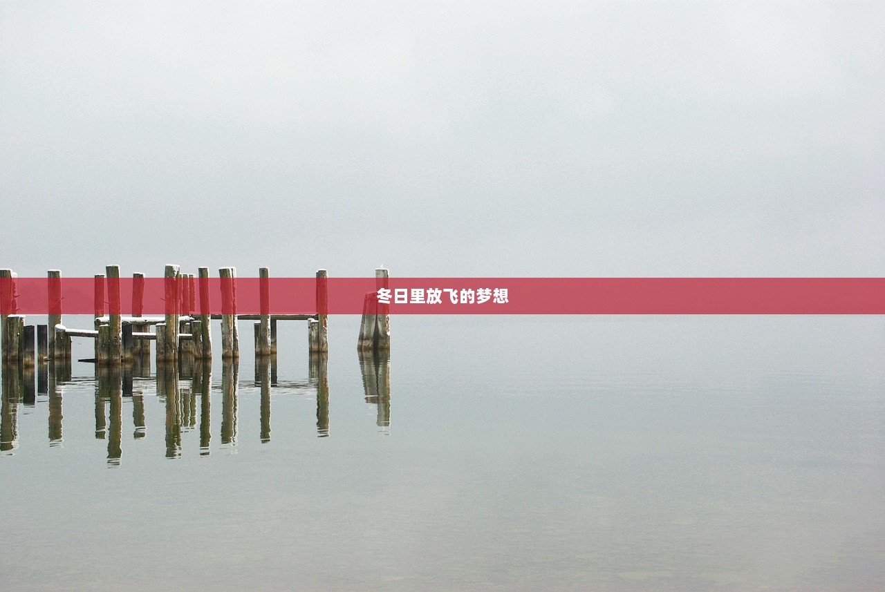 冬日里放飞的梦想