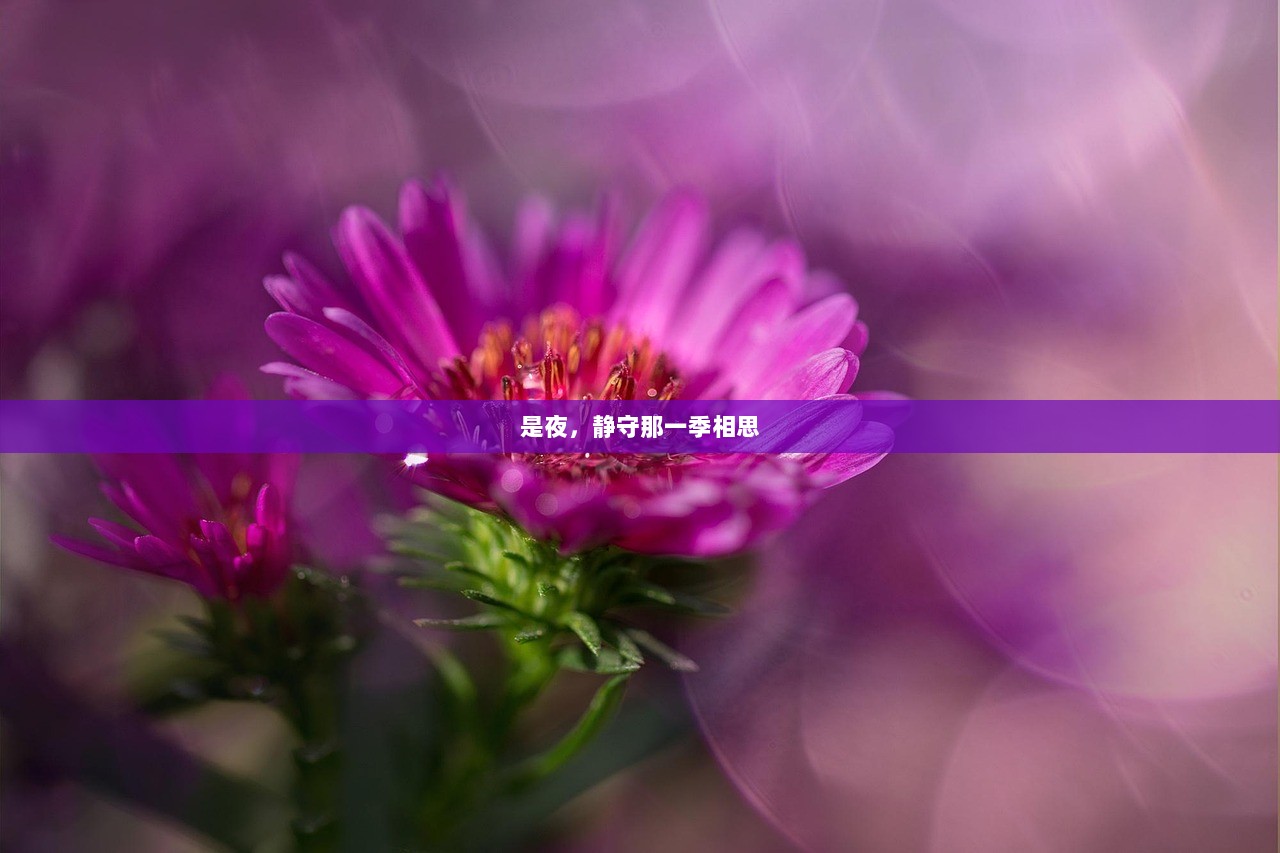 是夜，静守那一季相思