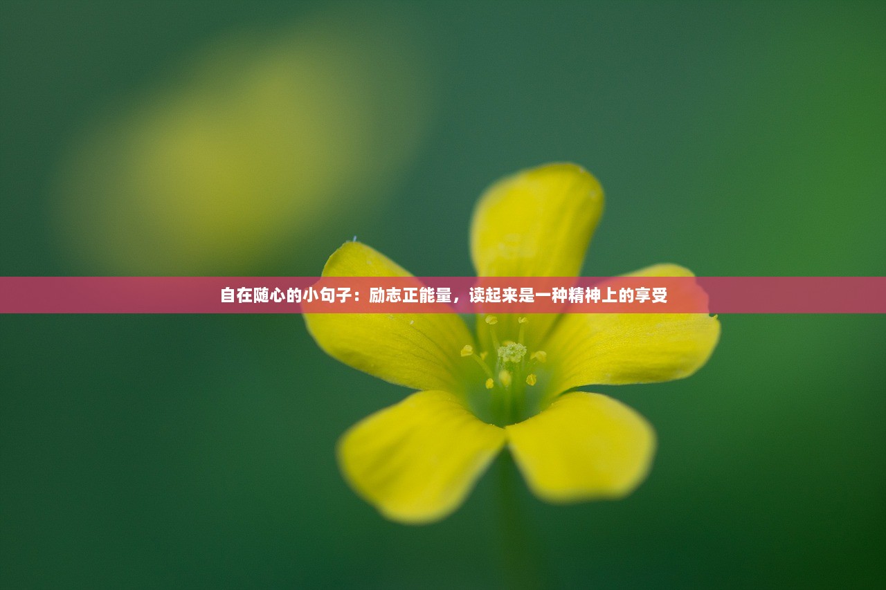 自在随心的小句子：励志正能量，读起来是一种精神上的享受