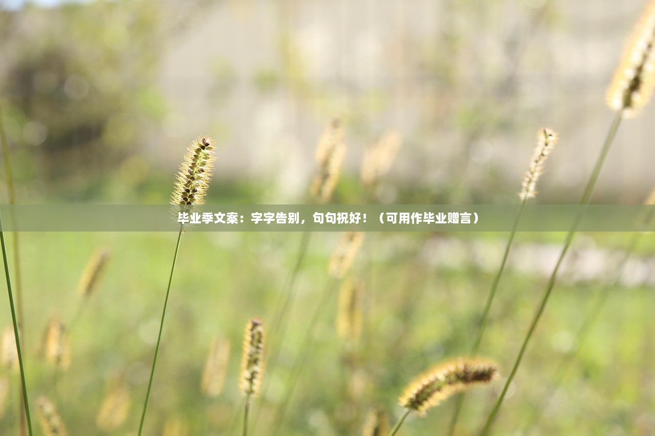毕业季文案：字字告别，句句祝好！（可用作毕业赠言）
