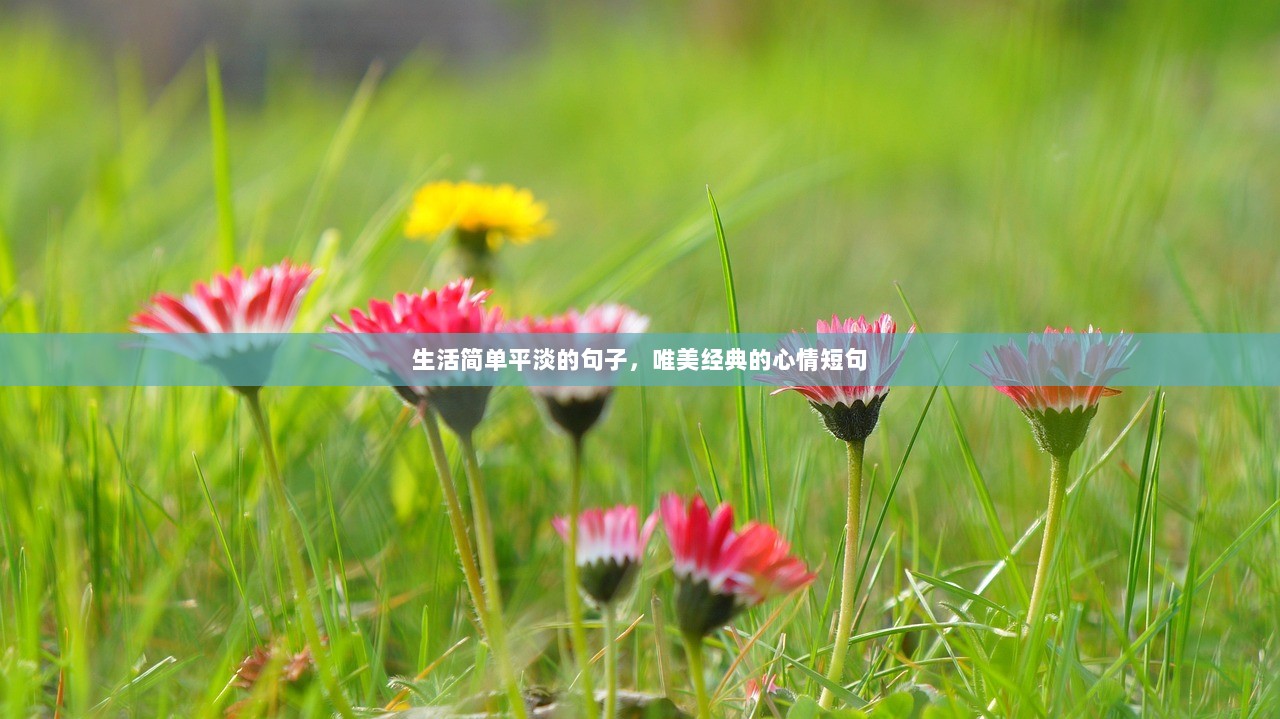 生活简单平淡的句子，唯美经典的心情短句