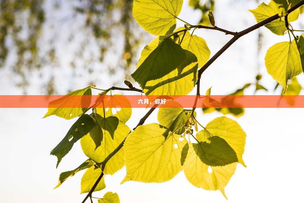 六月，你好
