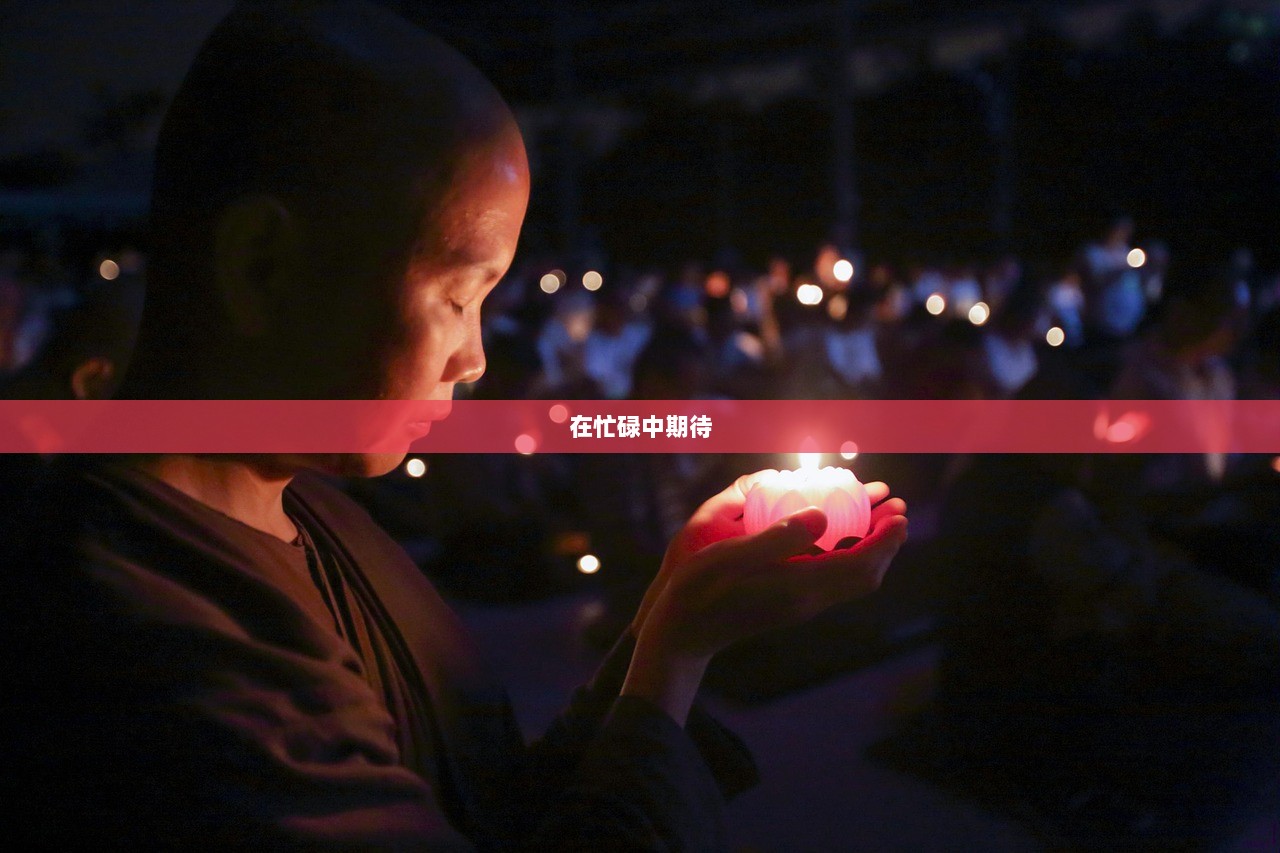 在忙碌中期待