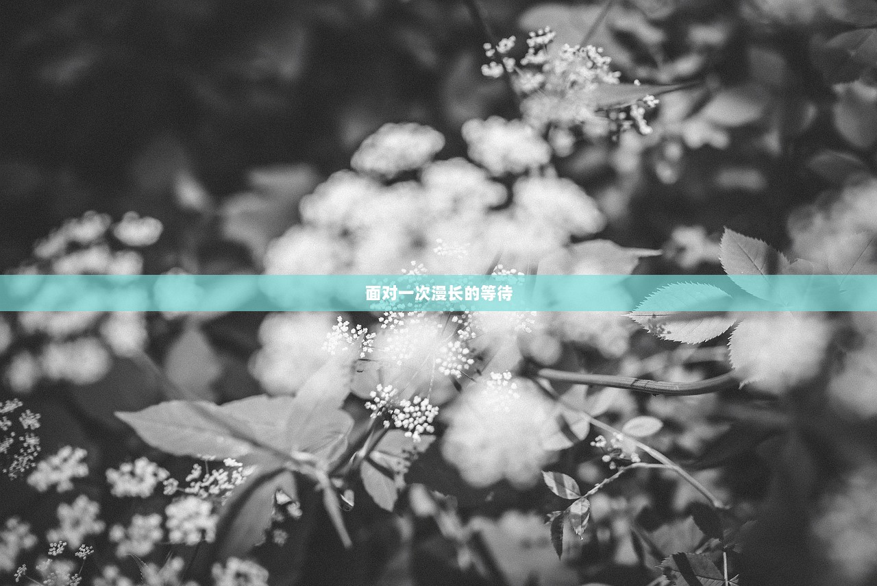 面对一次漫长的等待