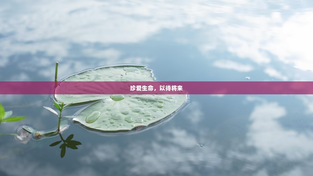 珍爱生命，以待将来