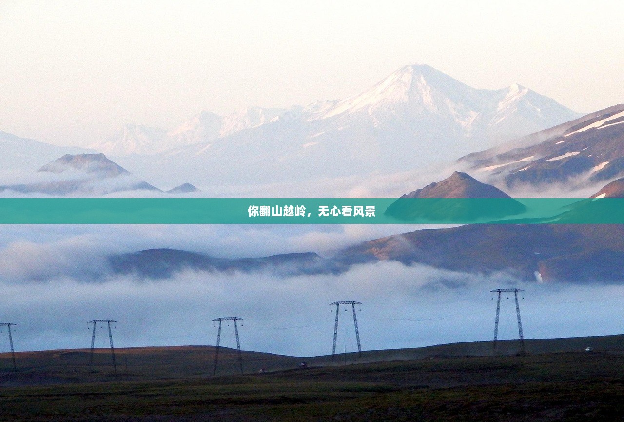 你翻山越岭，无心看风景  第1张