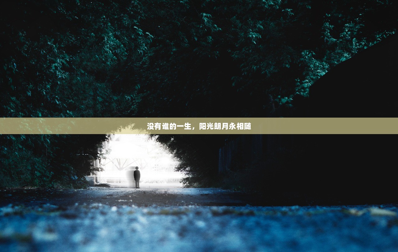 没有谁的一生，阳光朗月永相随