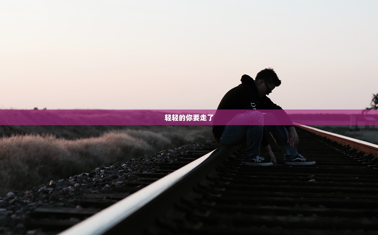 轻轻的你要走了