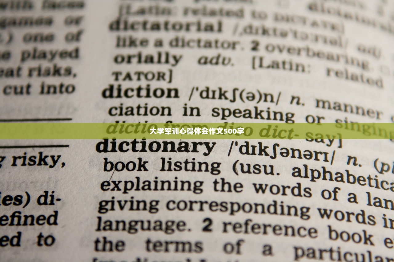 大学军训心得体会作文500字