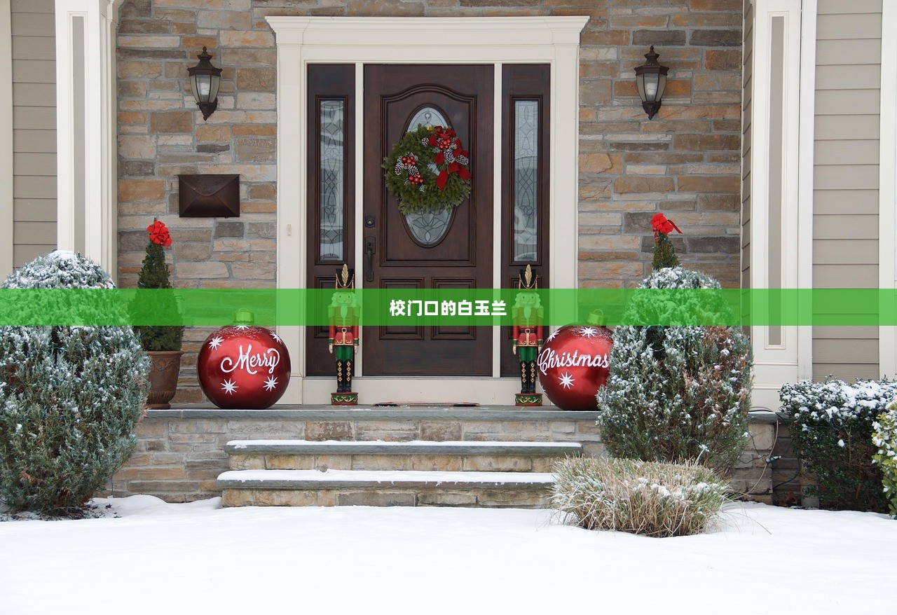 校门口的白玉兰