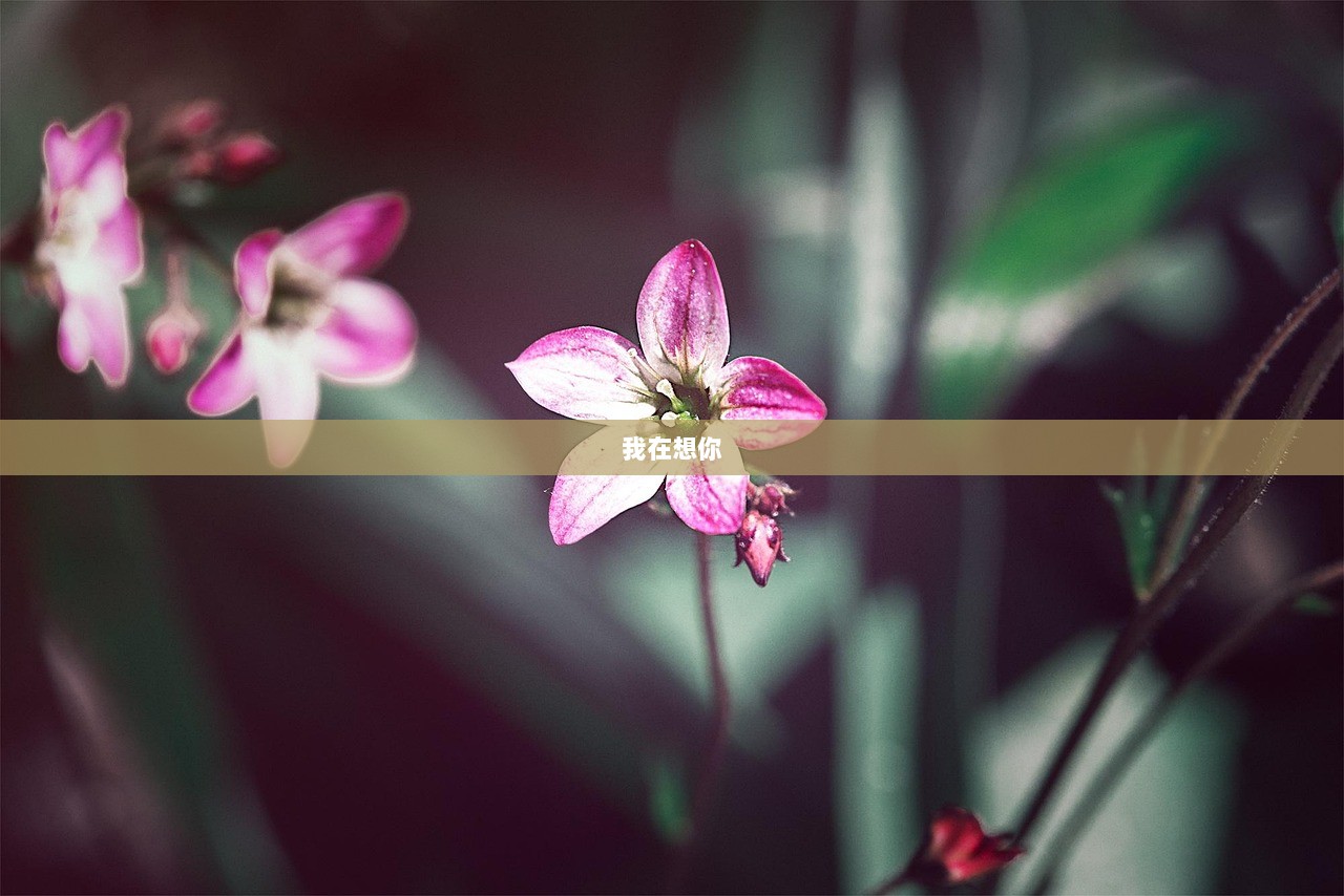 我在想你