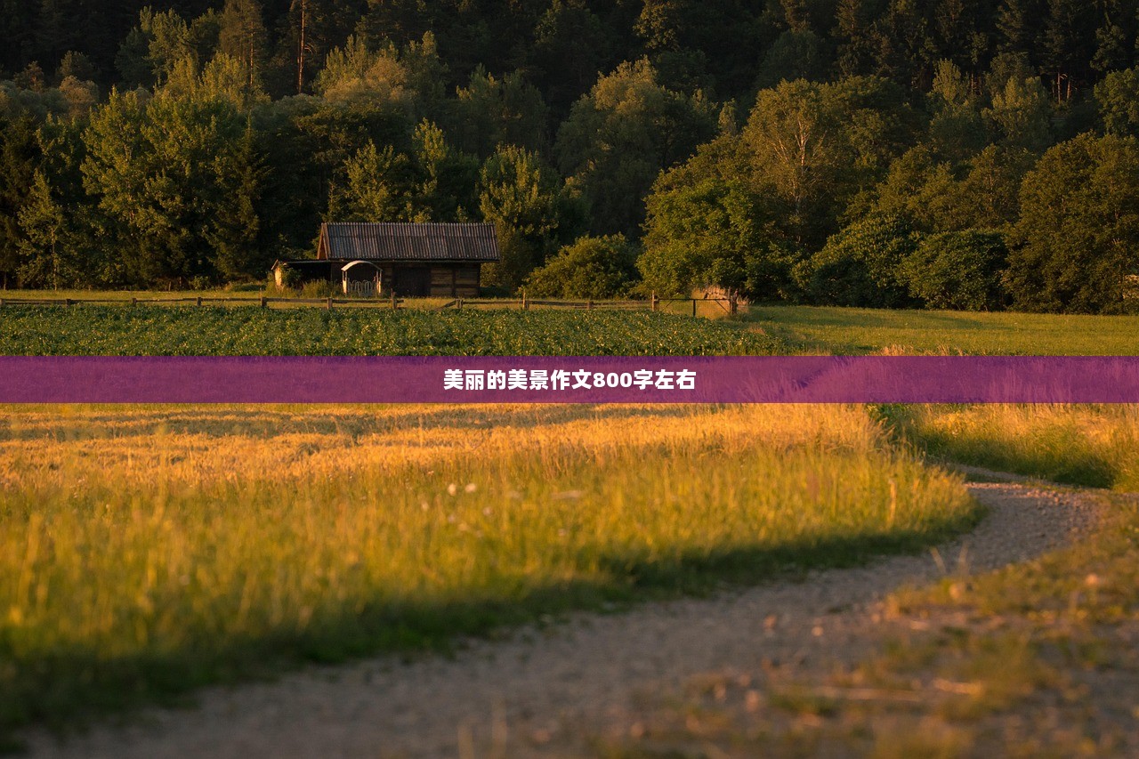 美丽的美景作文800字左右