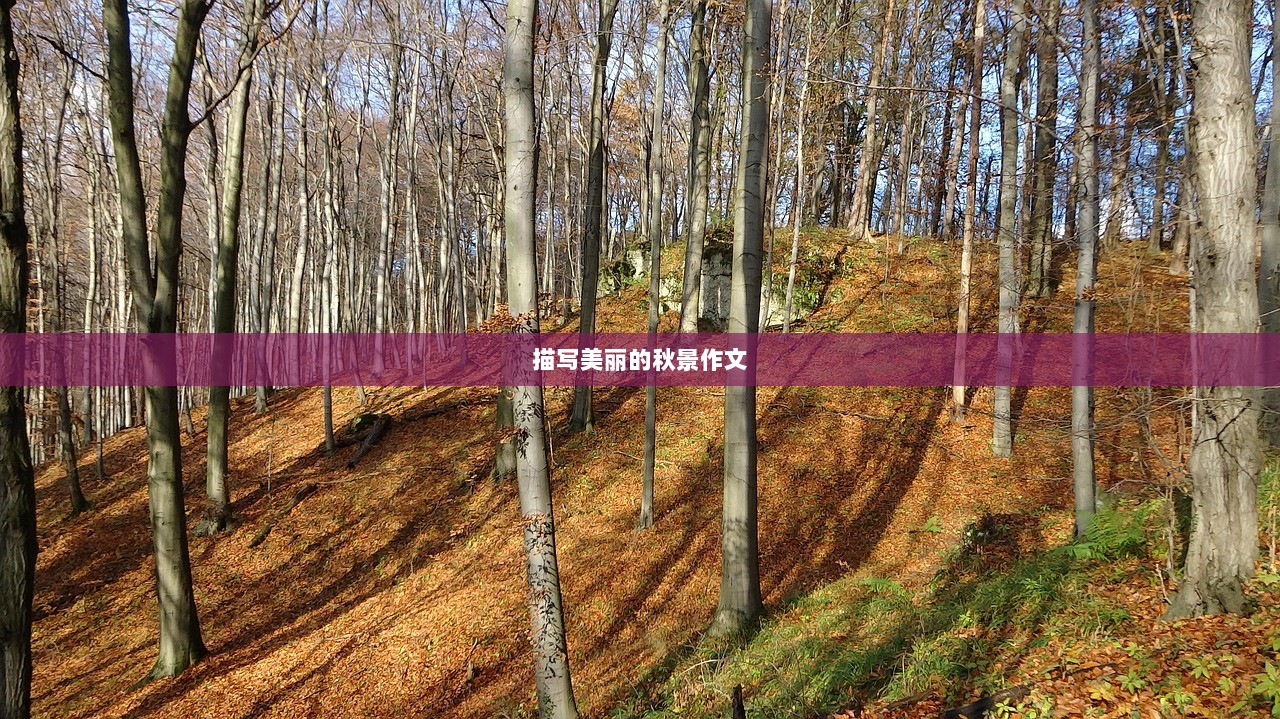 描写美丽的秋景作文