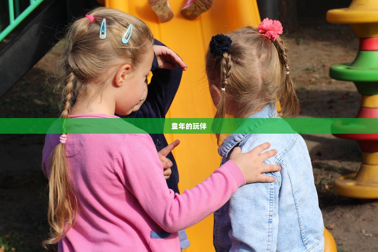 童年的玩伴