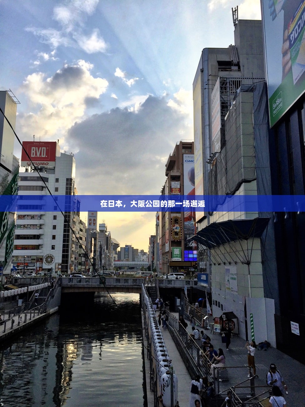 在日本，大阪公园的那一场邂逅