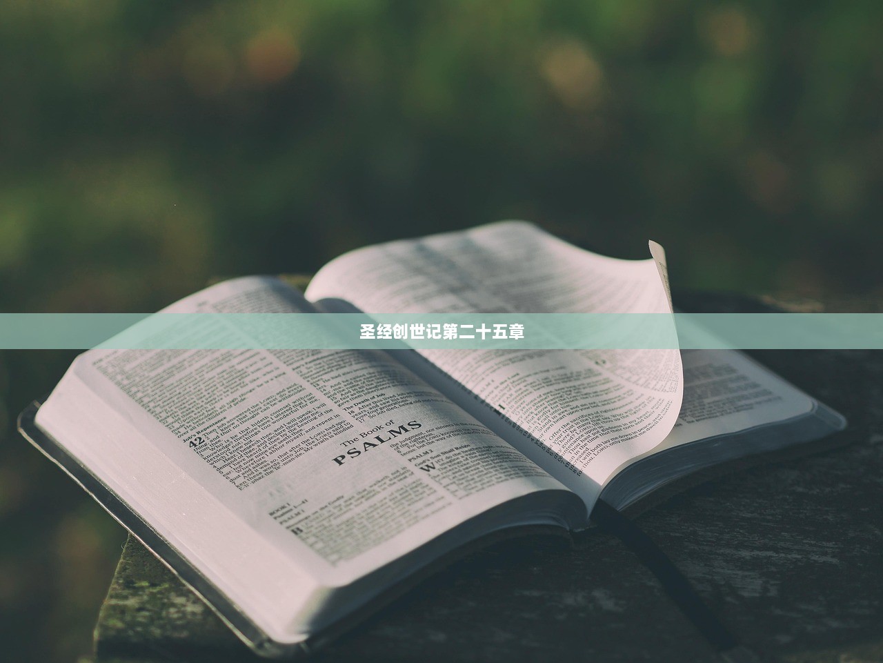 圣经创世记第二十五章
