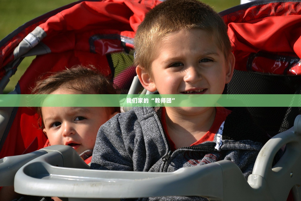 我们家的“教师团”