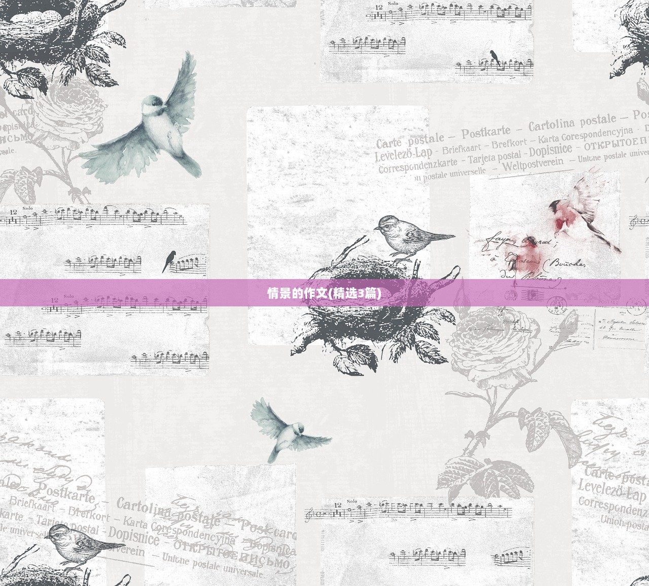 情景的作文(精选3篇)