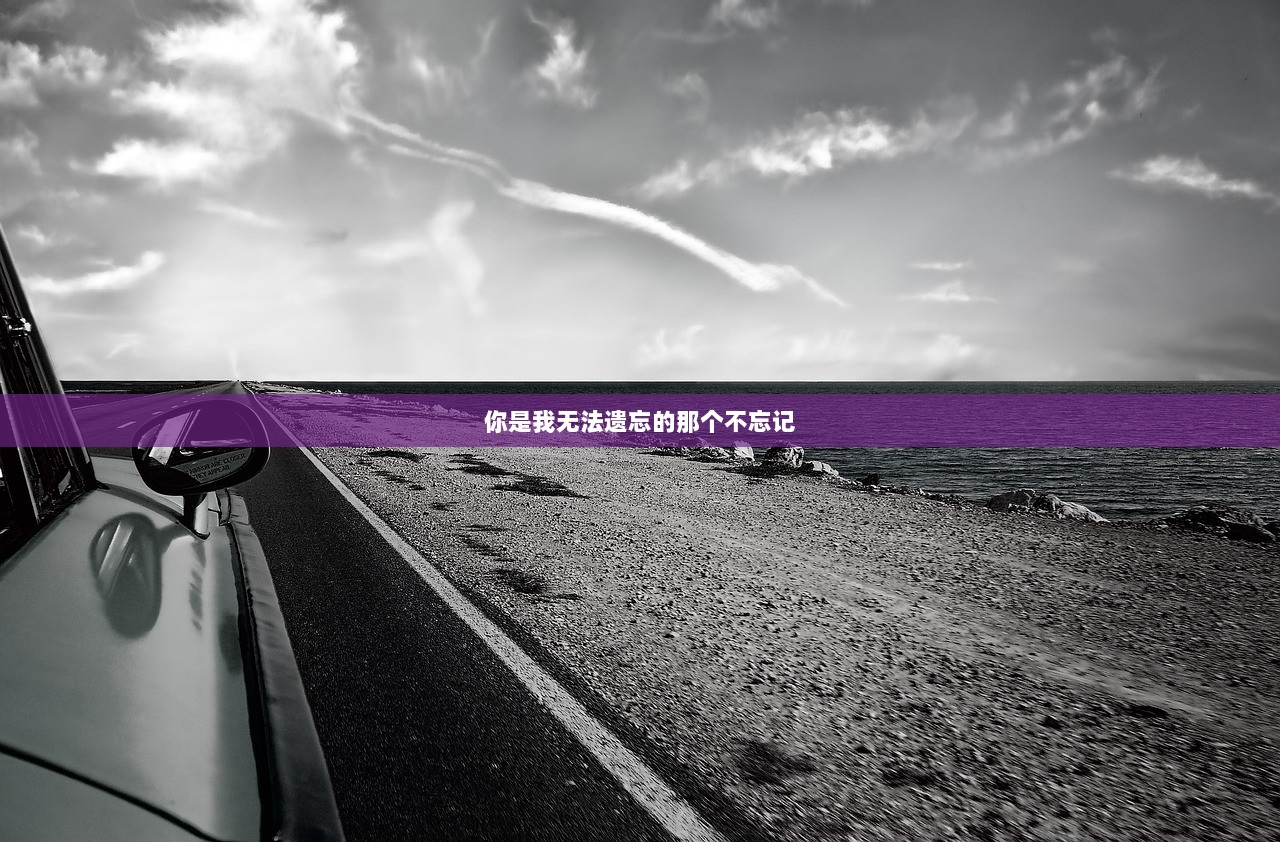 你是我无法遗忘的那个不忘记