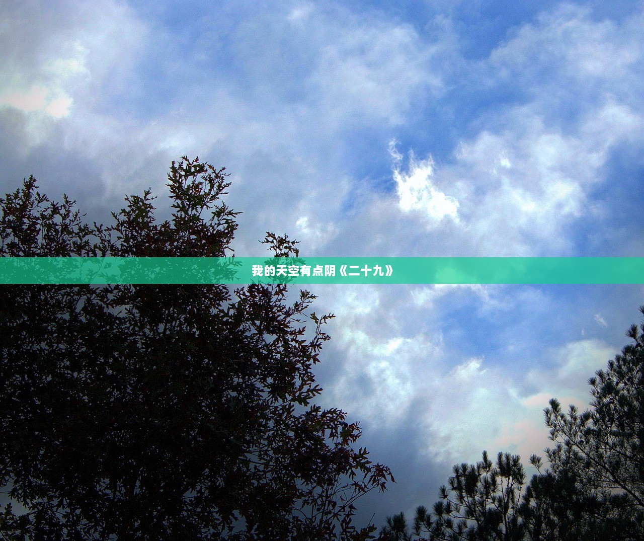 我的天空有点阴《二十九》