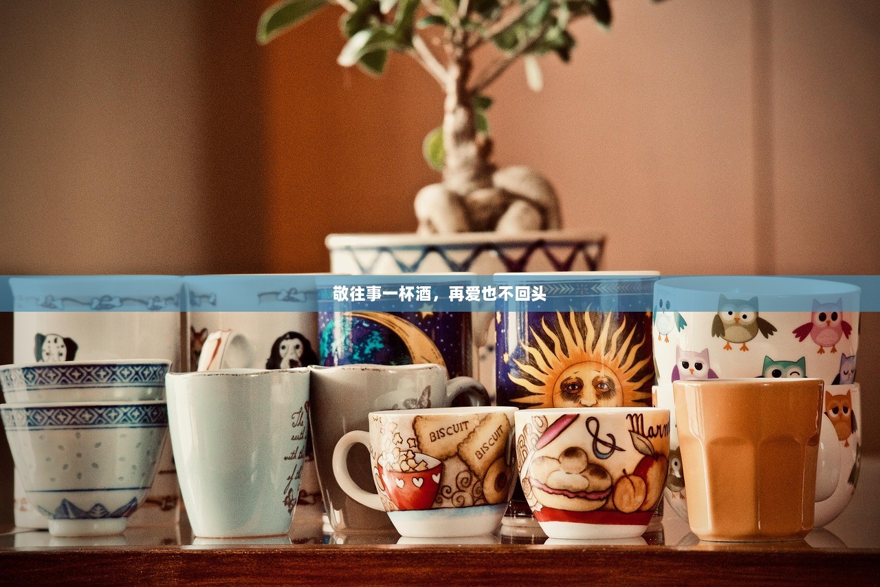 敬往事一杯酒，再爱也不回头