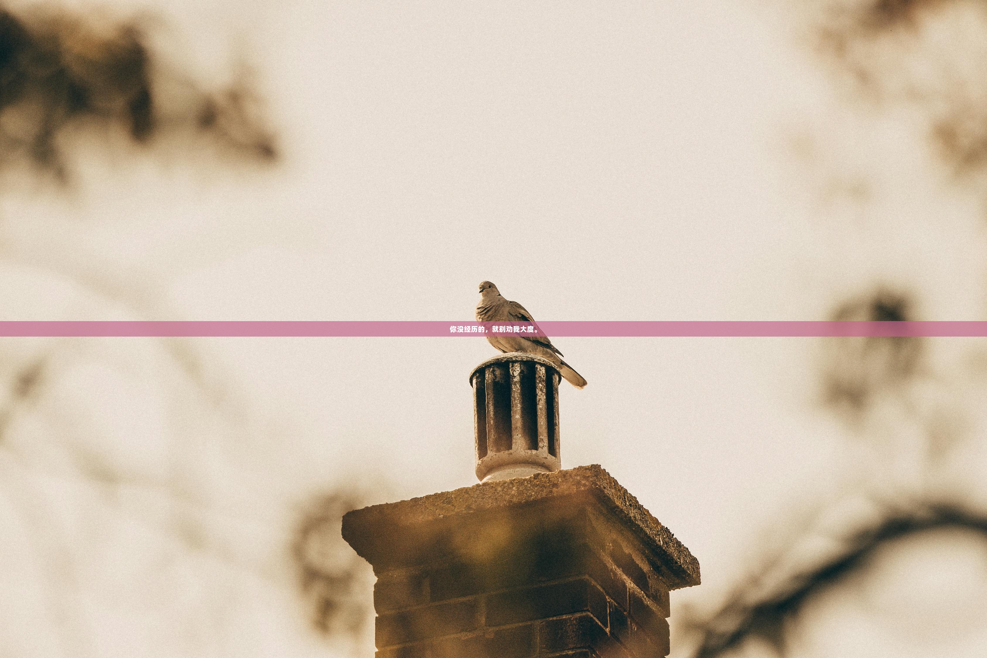 你没经历的，就别劝我大度。