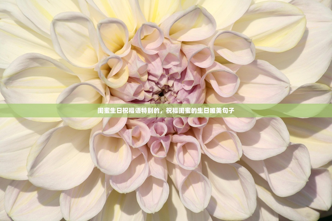 闺蜜生日祝福语特别的，祝福闺蜜的生日唯美句子